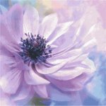 (image for) Flower in Lavenders and Violets